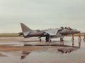 Harrier